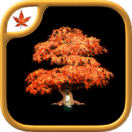 Fire Maple Games Collection Apk Download Free