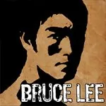 Bruce Lee Apk Android Game Download (4)