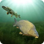 3dcarp Apk Android Download Free (1)